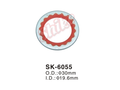 SK-6055