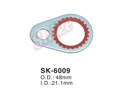 SK-6020