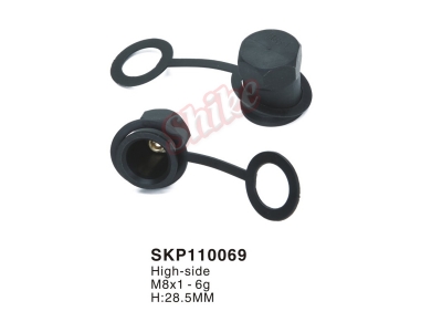 SKP110069